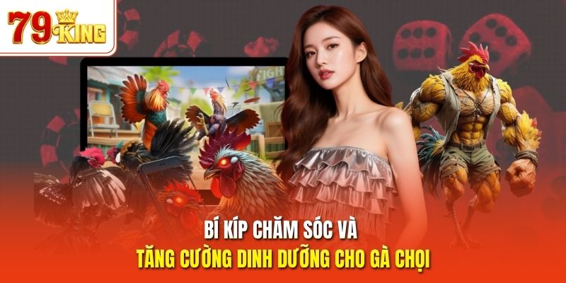 Bí kíp chăm sóc và tăng cường dinh dưỡng cho gà chọi