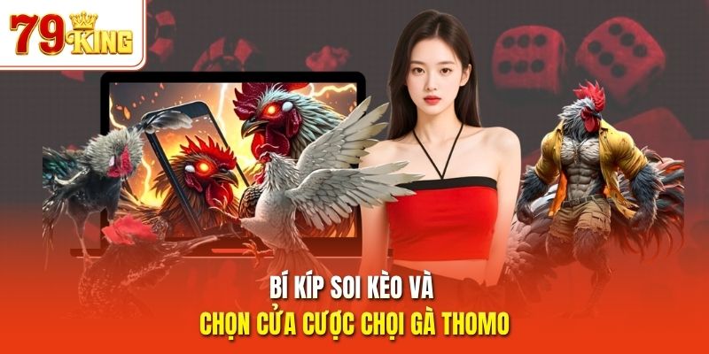 Bí kíp soi kèo và chọn cửa cược chọi gà Thomo