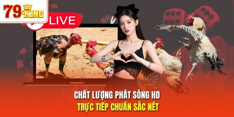 Chất lượng phát sóng HD trực tiếp chuẩn sắc nét 