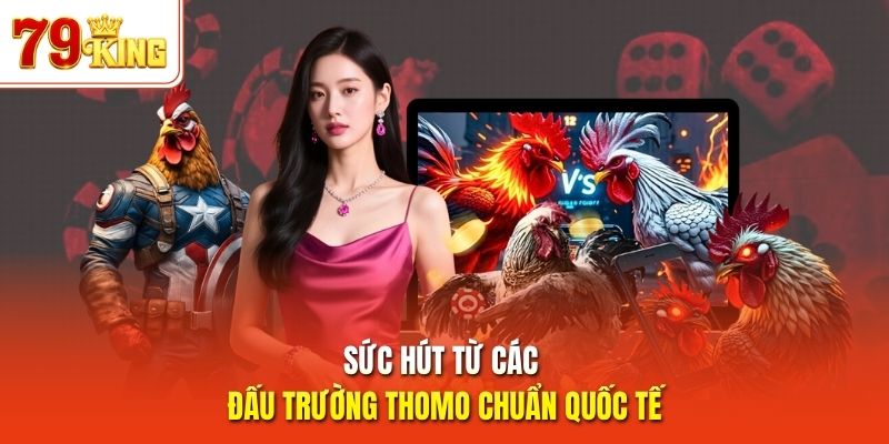 Sức hút từ các đấu trường Thomo chuẩn quốc tế