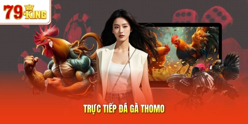 Trực tiếp đá gà Thomo