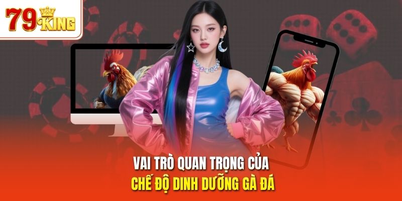 Vai trò quan trọng của chế độ dinh dưỡng gà đá